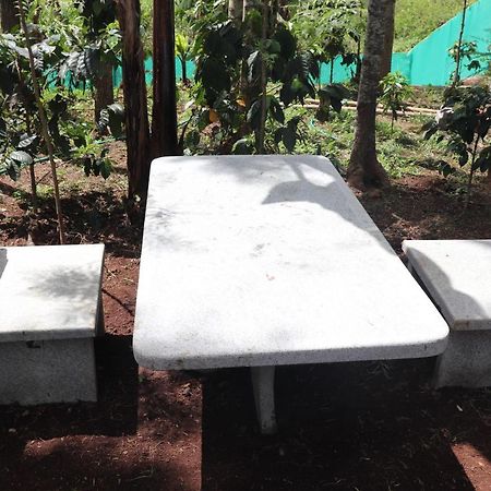 Pine Villa Garden Yercaud Exterior foto